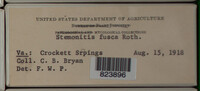 Image Associated With the Occurence